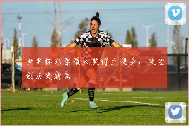 世界杯彩票最大奖得主现身，奖金创历史新高