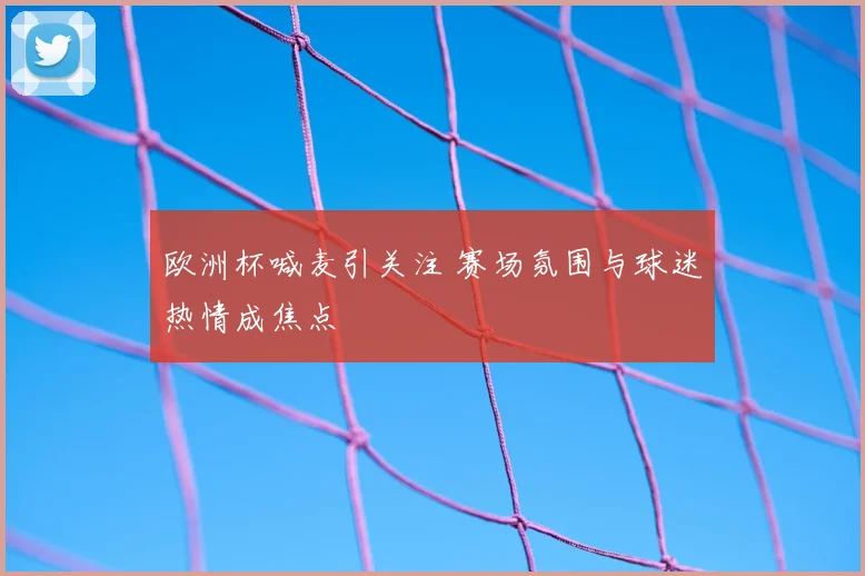 欧洲杯喊麦引关注 赛场氛围与球迷热情成焦点