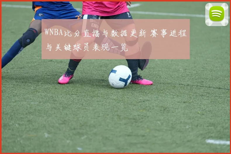 WNBA比分直播与数据更新 赛事进程与关键球员表现一览