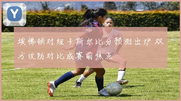 埃佛顿对纽卡斯尔比分预测出炉 双方攻防对比成赛前焦点